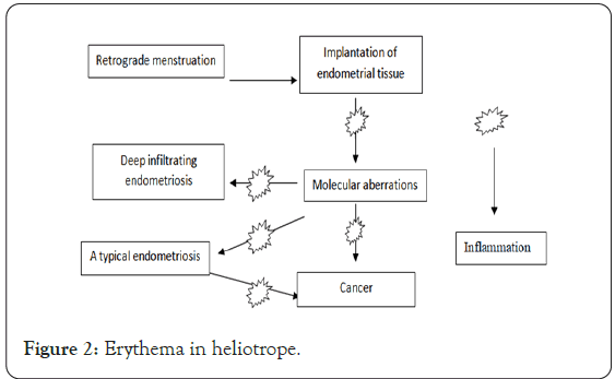 gene-technology-heliotrope