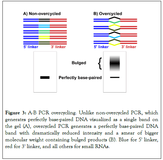 gene-technology-overcycled