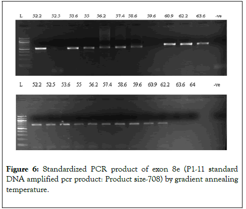 gene-technology-product