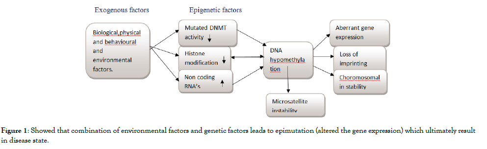 health-care-reviews-environmental-factors