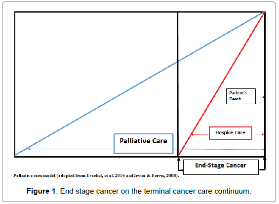 health-care-reviews-terminal-cancer