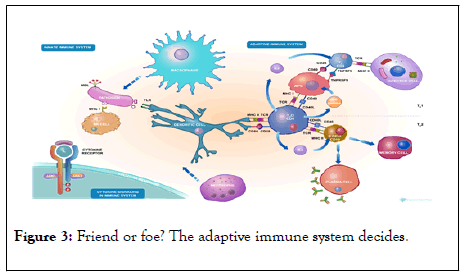 infectious-diseases-diagnosis-adaptive