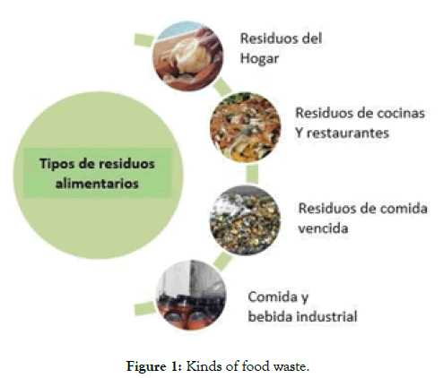 international-journal-waste-resources-food