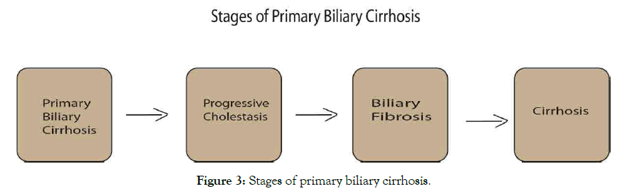 liver-biliary-cirrhosis