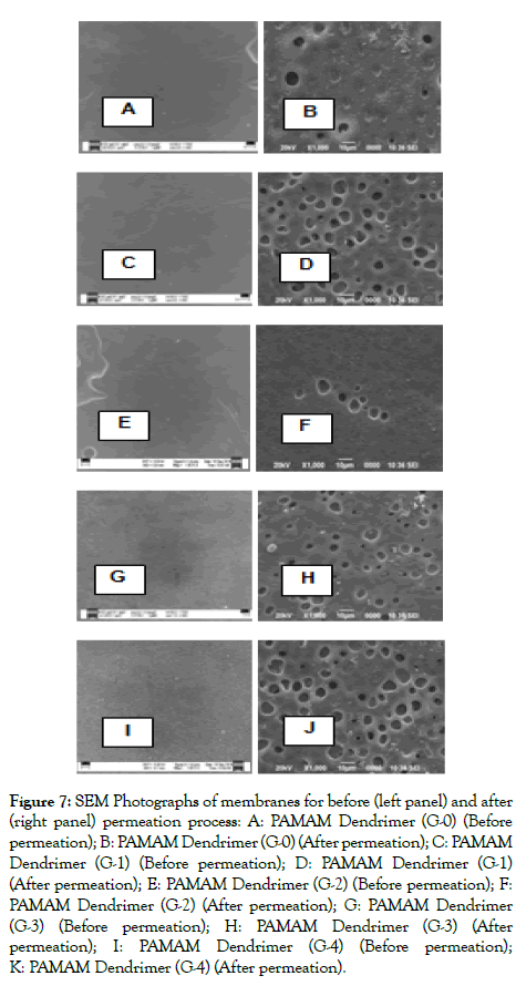 membrane-science-technology-Photographs