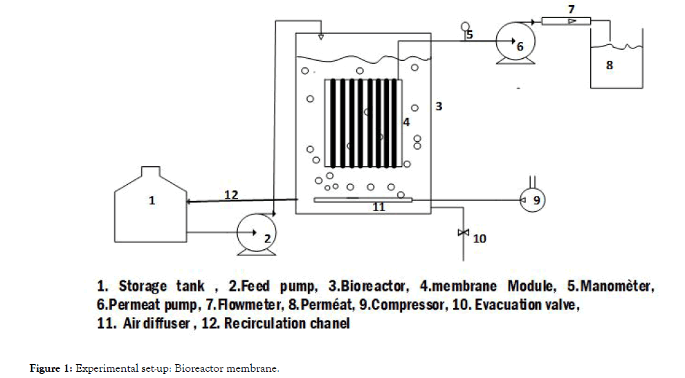 membrane-science-technology-bioreactor
