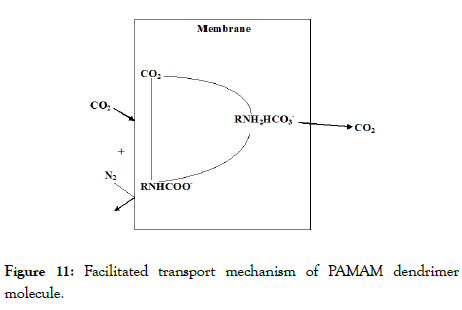 membrane-science-technology-dendrimer-molecule
