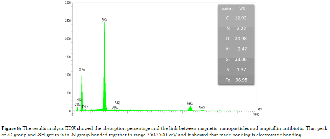 microbial-biochemical-technology-ampicillin-antibiotic