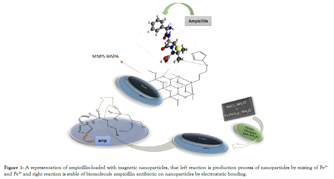 microbial-biochemical-technology-ampicillin-loaded