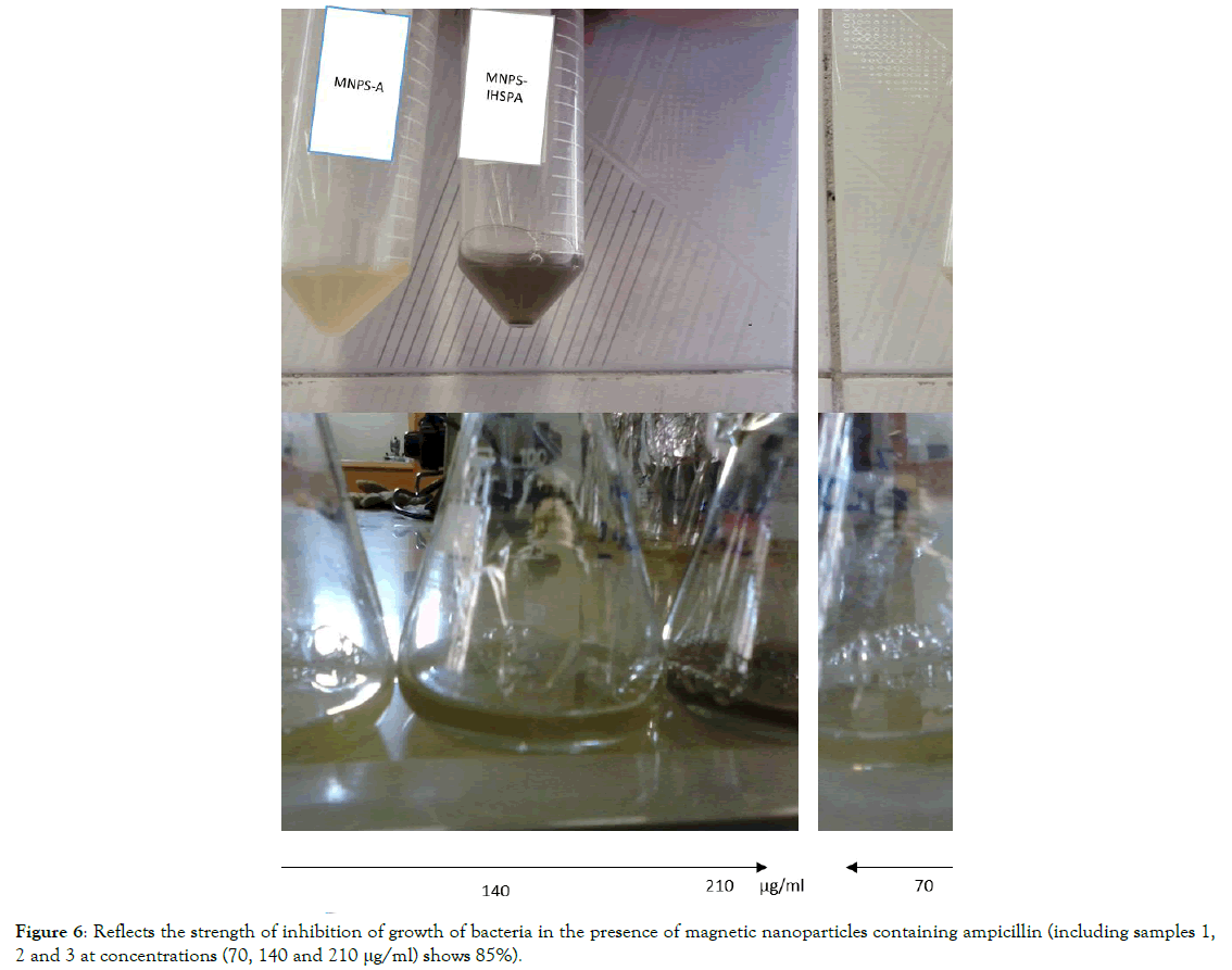 microbial-biochemical-technology-containing-ampicillin