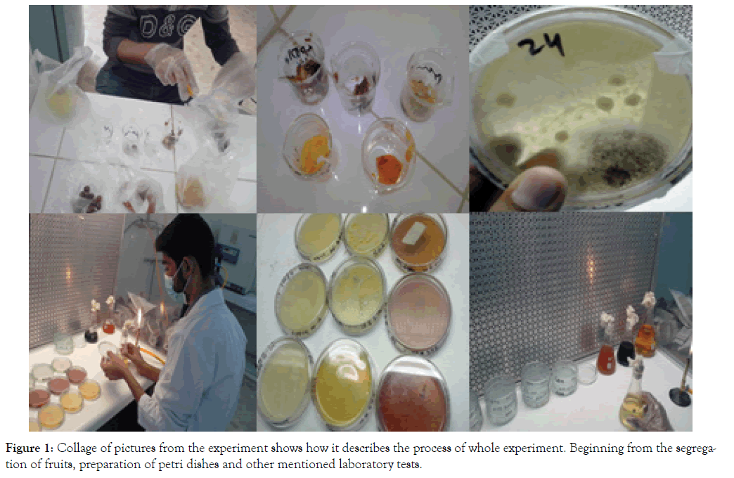 microbial-biochemical-technology-laboratory-tests