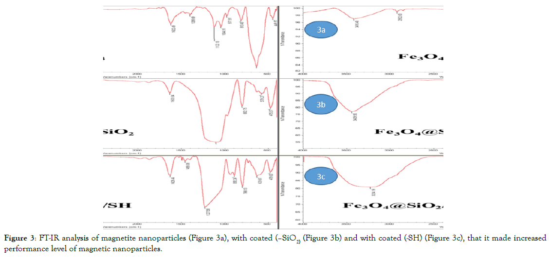 microbial-biochemical-technology-magnetic-nanoparticles