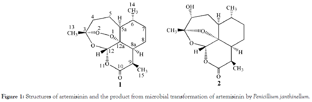 microbial-biochemical-technology-microbial-transformation