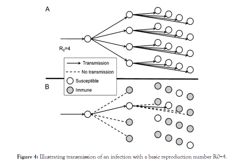 molecular-biomarkers-basic-reproduction