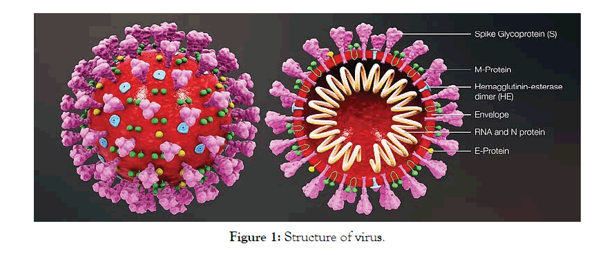 molecular-biomarkers-structure-virus