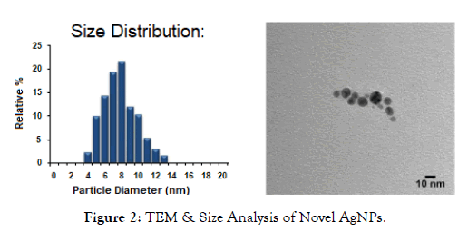 nanomedicine-nanotechnology-analysis