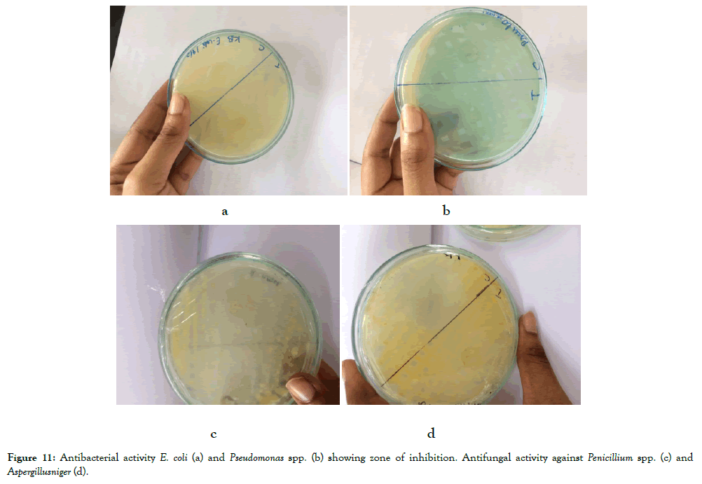 nanomedicine-nanotechnology-antibacterial-activity