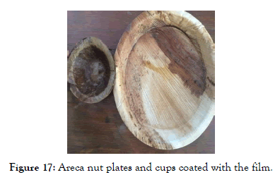 nanomedicine-nanotechnology-areca-nut-plates