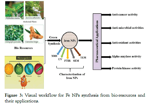 nanomedicine-nanotechnology-bio-resources