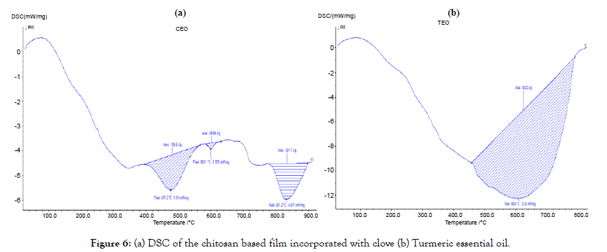 nanomedicine-nanotechnology-chitosan-based-film