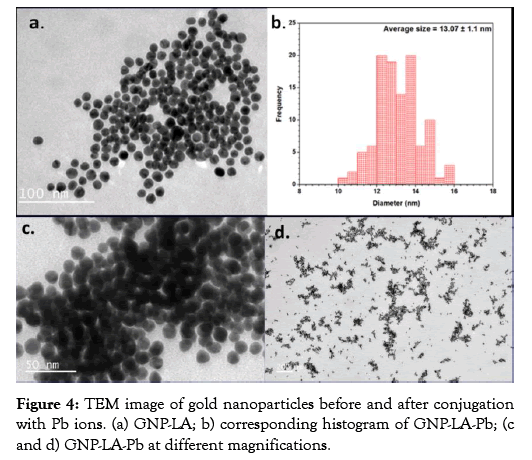 nanomedicine-nanotechnology-conjugation