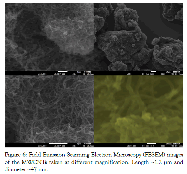 nanomedicine-nanotechnology-emission-scanning-electron