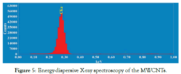 nanomedicine-nanotechnology-energy-dispersive