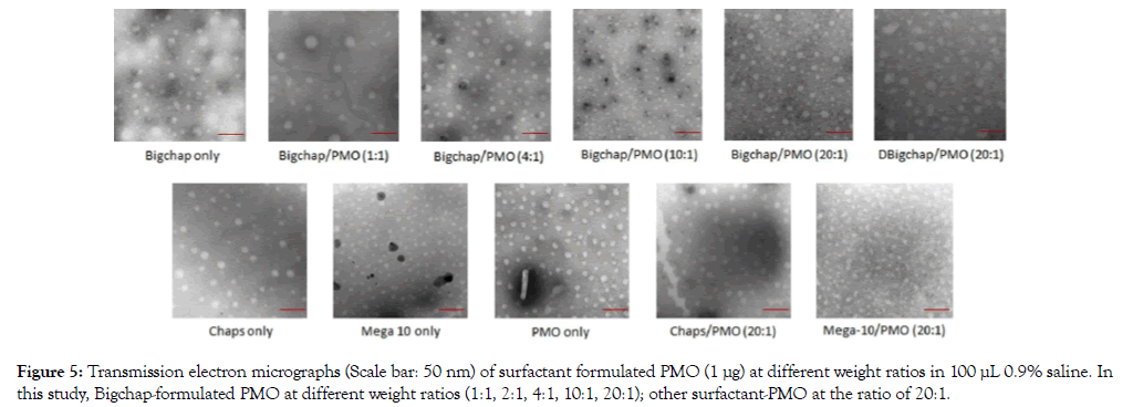 nanomedicine-nanotechnology-formulated