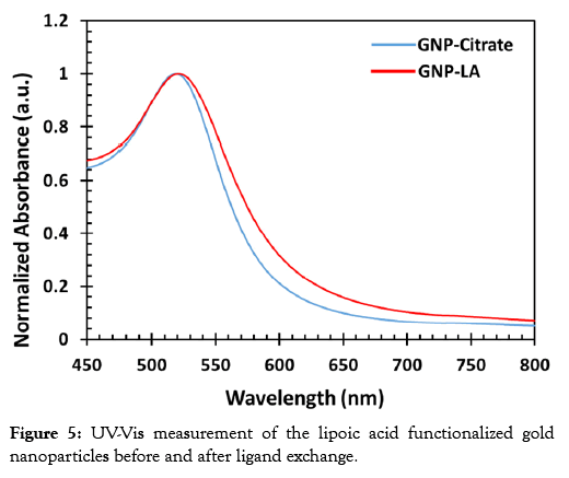 nanomedicine-nanotechnology-functionalized