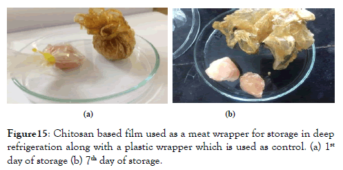 nanomedicine-nanotechnology-meat-wrapper