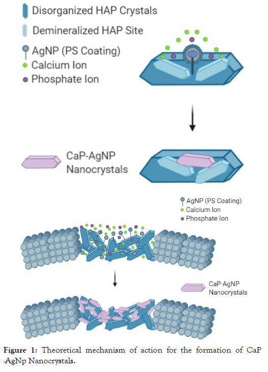 nanomedicine-nanotechnology-mechanism