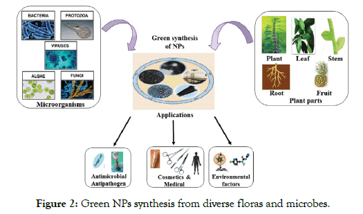 nanomedicine-nanotechnology-microbes