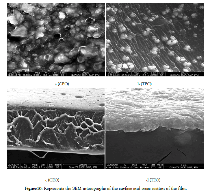 nanomedicine-nanotechnology-micrographs
