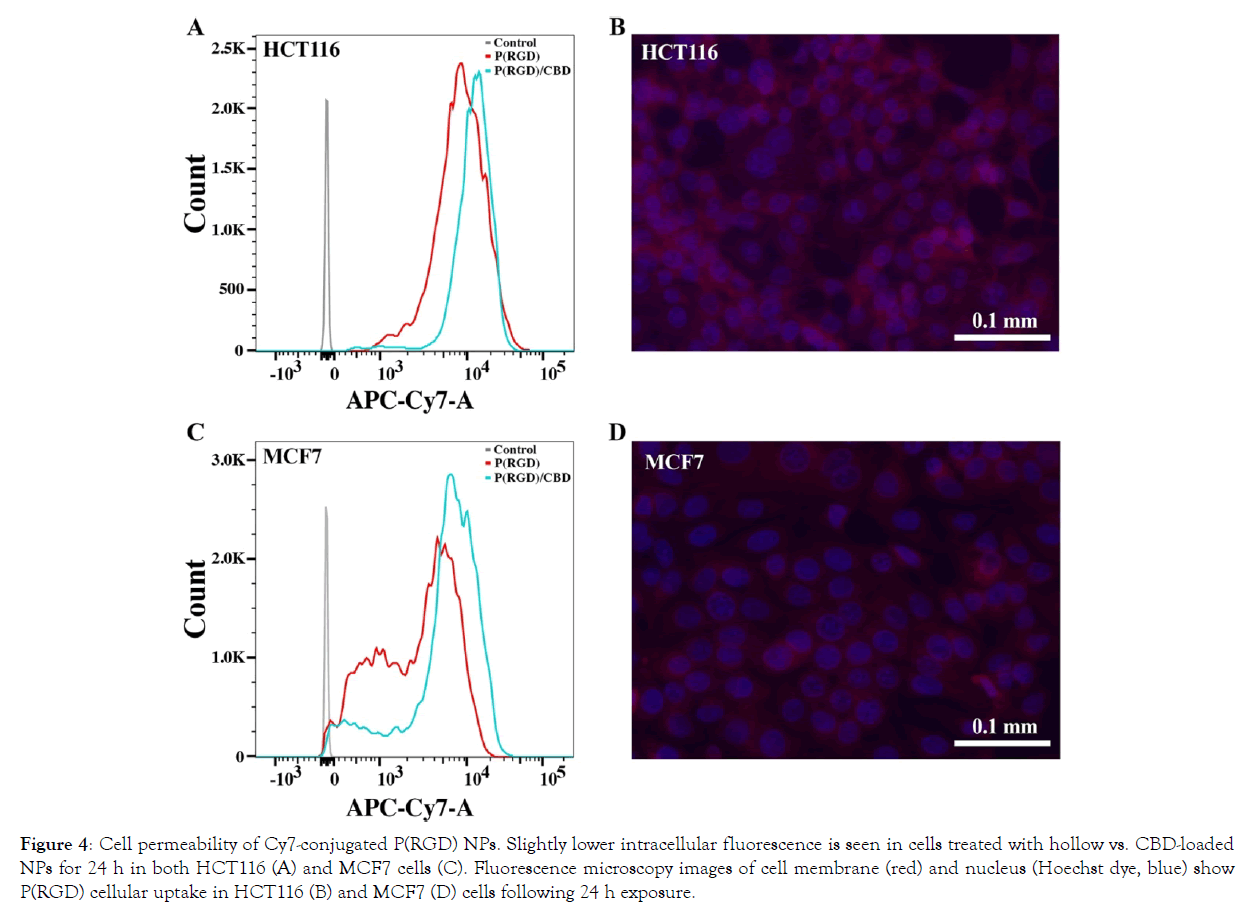 nanomedicine-nanotechnology-microscopy