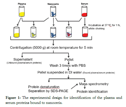 nanomedicine-nanotechnology-plasma