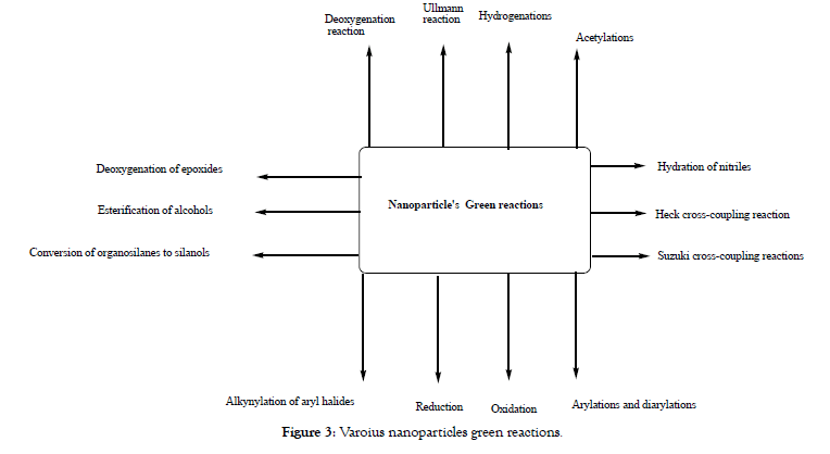 nanomedicine-nanotechnology-reactions