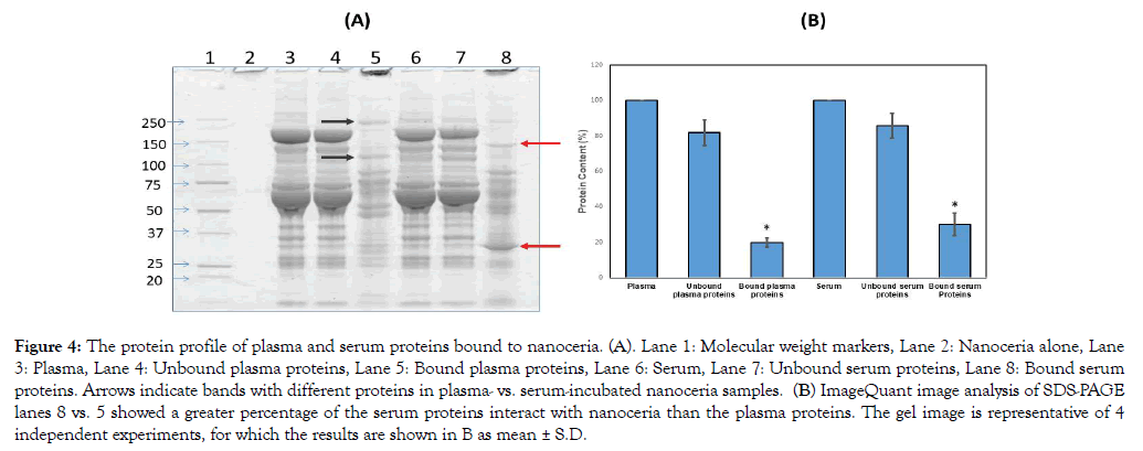 nanomedicine-nanotechnology-representative