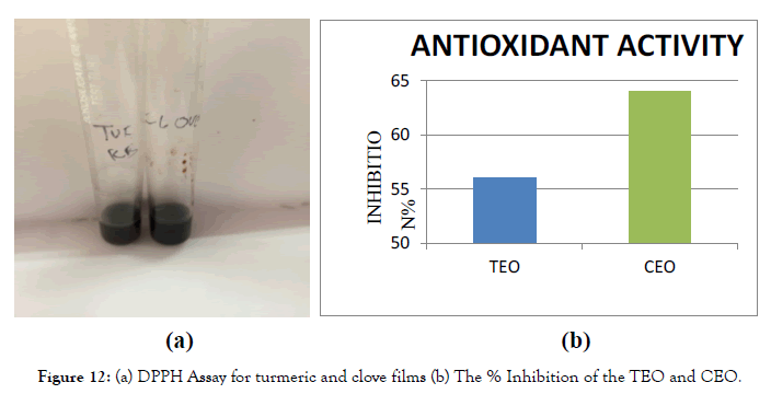 nanomedicine-nanotechnology-turmeric