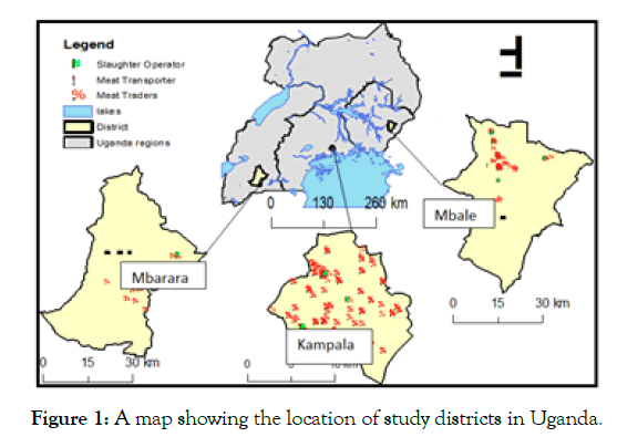 nutrition-weight-loss-study-districts