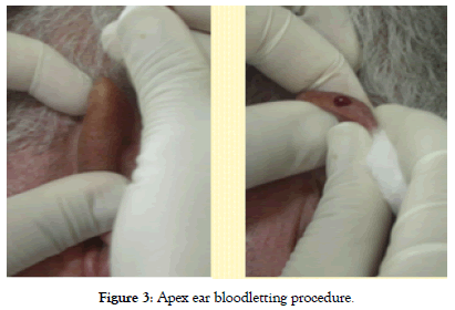 pain-management-medicine-procedure