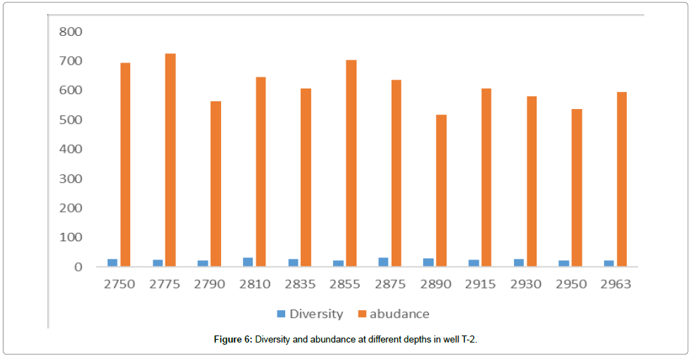 petroleum-environmental-biotechnology-abundance