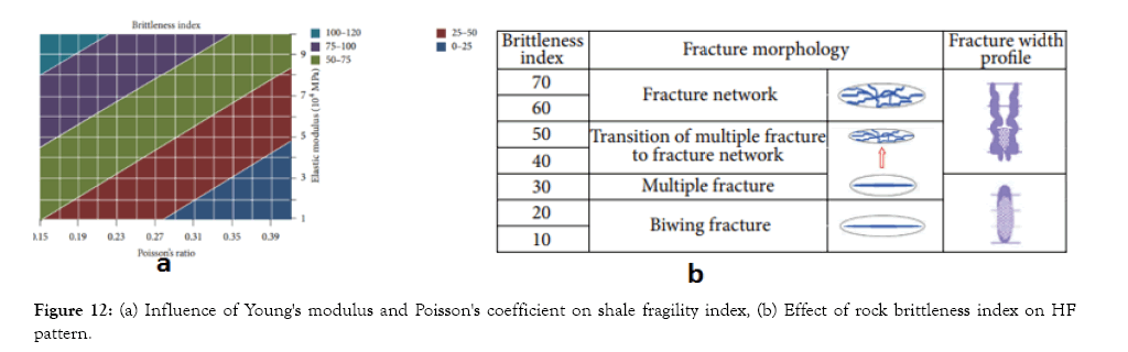 petroleum-environmental-biotechnology-coefficient