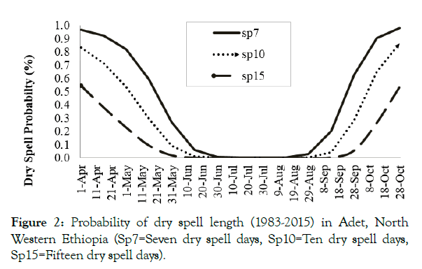 petroleum-environmental-biotechnology-dry-spell