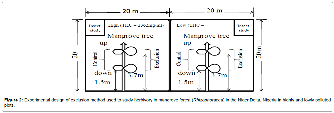 petroleum-environmental-biotechnology-exclusion-method