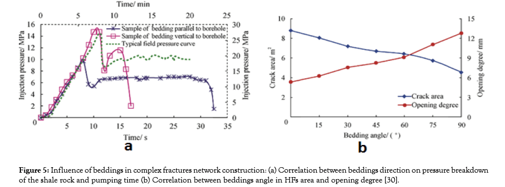 petroleum-environmental-biotechnology-fractures