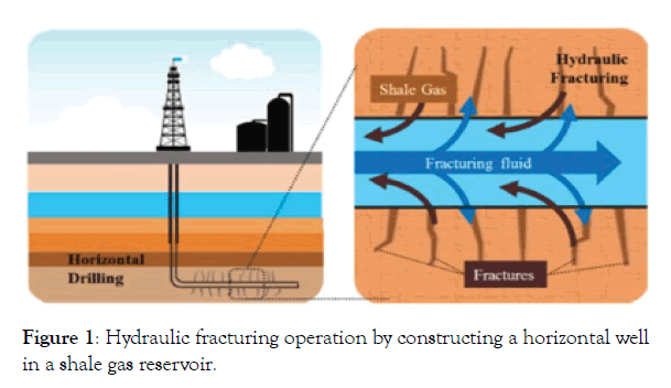 petroleum-environmental-biotechnology-gas-reservoir