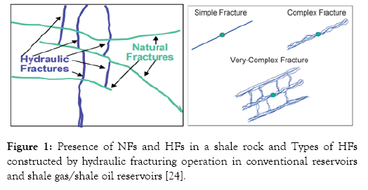 petroleum-environmental-biotechnology-hydraulic