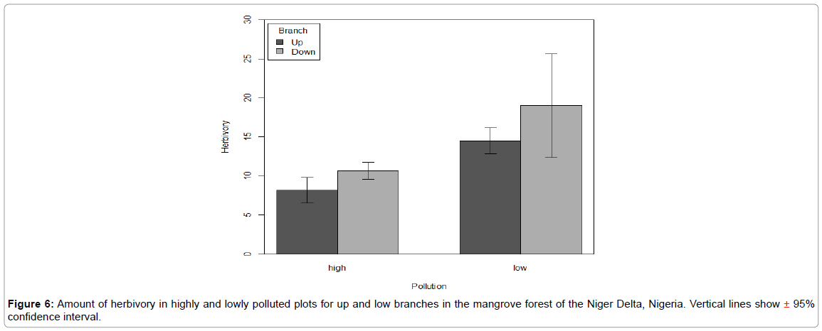 petroleum-environmental-biotechnology-mangrove-forest