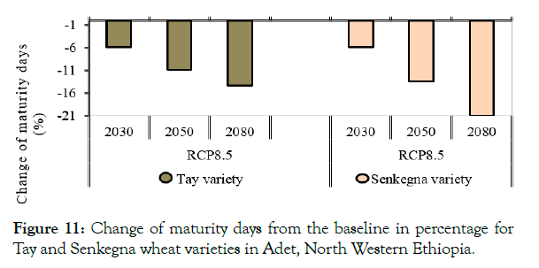 petroleum-environmental-biotechnology-percentage