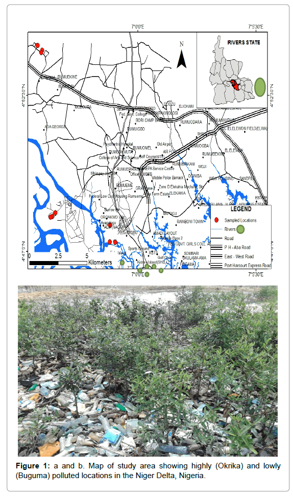 petroleum-environmental-biotechnology-polluted-locations